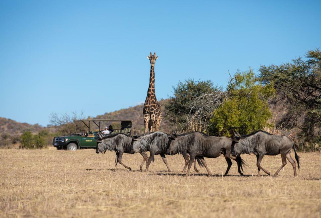 Mabula Game Lodge Mabula Game Reserve Ngoại thất bức ảnh
