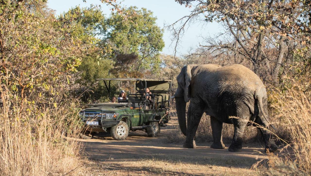 Mabula Game Lodge Mabula Game Reserve Ngoại thất bức ảnh