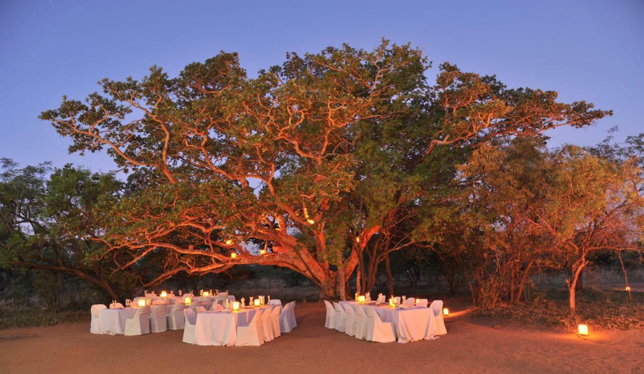 Mabula Game Lodge Mabula Game Reserve Ngoại thất bức ảnh